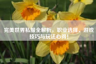  完美世界私服全解析，职业选择、游戏技巧与玩法心得！