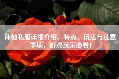 诛仙私服详细介绍，特点、玩法与注意事项，游戏玩家必看！