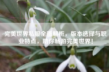  完美世界私服全面解析，版本选择与职业特点，助你畅游完美世界！