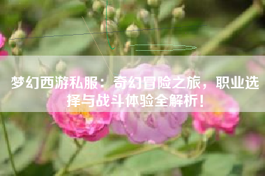 梦幻西游私服：奇幻冒险之旅，职业选择与战斗体验全解析！