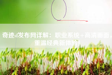 奇迹sf发布网详解：职业系统+高清画面，重温经典新体验！