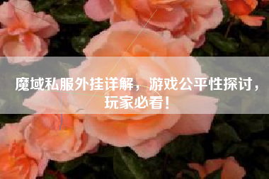 魔域私服外挂详解，游戏公平性探讨，玩家必看！