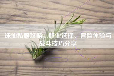 诛仙私服攻略，职业选择、冒险体验与战斗技巧分享
