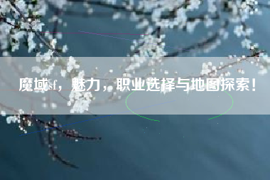 魔域sf，魅力，职业选择与地图探索！