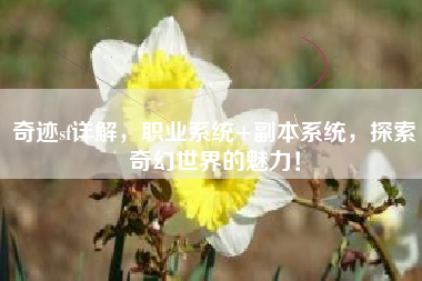 奇迹sf详解，职业系统+副本系统，探索奇幻世界的魅力！