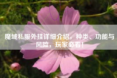 魔域私服外挂详细介绍，种类、功能与风险，玩家必看！
