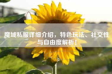 魔域私服详细介绍，特色玩法、社交性与自由度解析！