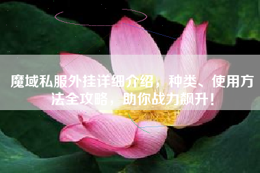 魔域私服外挂详细介绍，种类、使用方法全攻略，助你战力飙升！