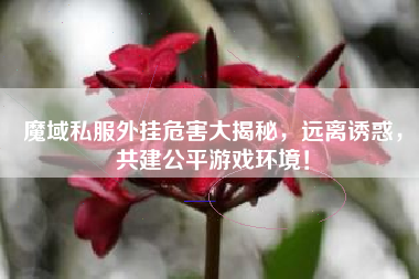 魔域私服外挂危害大揭秘，远离诱惑，共建公平游戏环境！