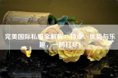  完美国际私服全解析：特点、优势与乐趣，一网打尽！