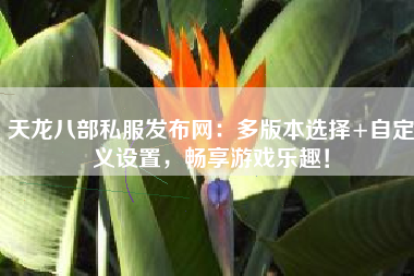 天龙八部私服发布网：多版本选择+自定义设置，畅享游戏乐趣！