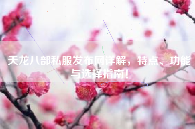 天龙八部私服发布网详解，特点、功能与选择指南！