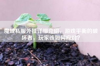 魔域私服外挂详细介绍，游戏平衡的破坏者，玩家该如何应对？