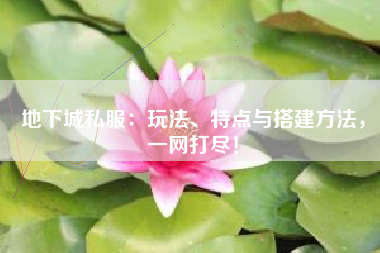地下城私服：玩法、特点与搭建方法，一网打尽！