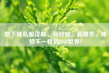 地下城私服详解：高经验、高爆率，体验不一样的DNF世界！