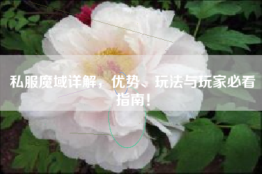 私服魔域详解，优势、玩法与玩家必看指南！