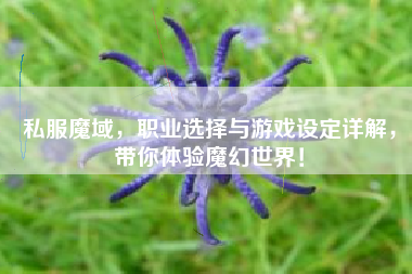 私服魔域，职业选择与游戏设定详解，带你体验魔幻世界！