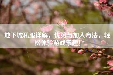 地下城私服详解，优势与加入方法，轻松体验游戏乐趣！