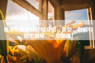 魔域私服外挂详细介绍，类型、影响与防范措施，一文读懂！