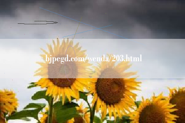 bjpegd.com/wenda/203.html  第1张