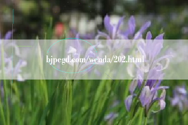 bjpegd.com/wenda/202.html