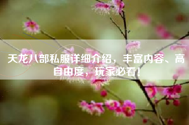 天龙八部私服详细介绍，丰富内容、高自由度，玩家必看！