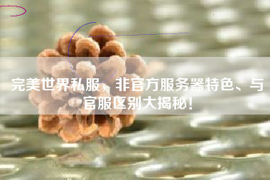  完美世界私服，非官方服务器特色、与官服区别大揭秘！