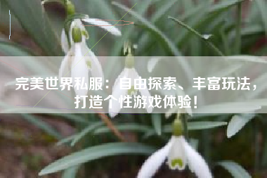  完美世界私服：自由探索、丰富玩法，打造个性游戏体验！