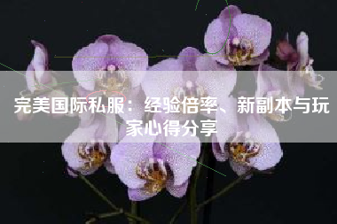  完美国际私服：经验倍率、新副本与玩家心得分享