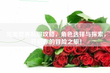  完美世界私服攻略，角色选择与探索，开启你的冒险之旅！