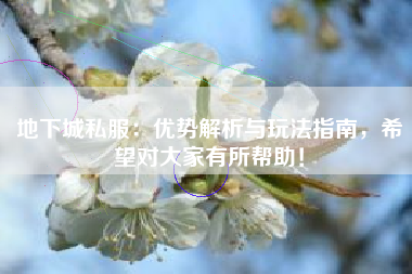 地下城私服:优势解析与玩法指南,希望对大家有所帮助! 第1张 地下城私服:优势解析与玩法指南,希望对大家有所帮助! 第1张