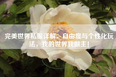  完美世界私服详解，自由度与个性化玩法，我的世界我做主！