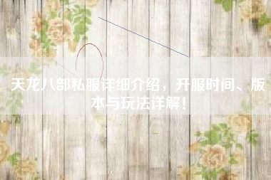 天龙八部私服详细介绍，开服时间、版本与玩法详解！