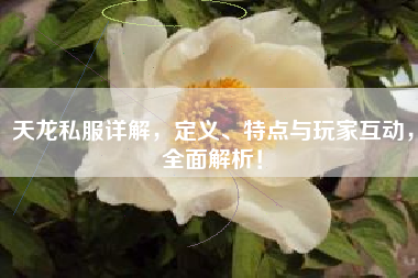 天龙私服详解，定义、特点与玩家互动，全面解析！