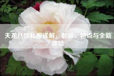 天龙八部私服详解，起源、特点与全新体验