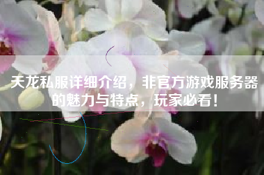 天龙私服详细介绍，非官方游戏服务器的魅力与特点，玩家必看！