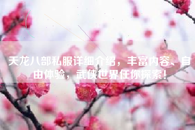 天龙八部私服详细介绍，丰富内容、自由体验，武侠世界任你探索！