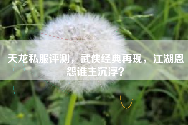 天龙私服评测，武侠经典再现，江湖恩怨谁主沉浮？