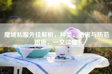 魔域私服外挂解析，种类、危害与防范措施，一文读懂！  第1张