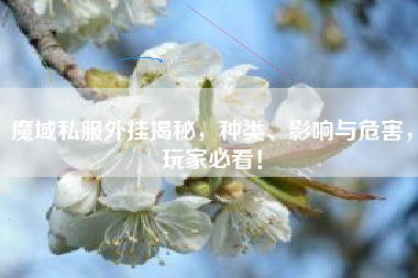 魔域私服外挂揭秘，种类、影响与危害，玩家必看！