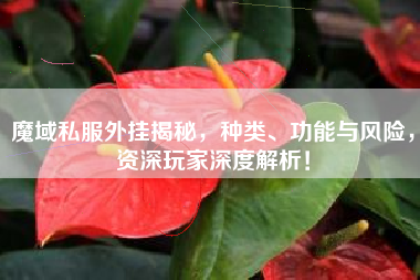 魔域私服外挂揭秘，种类、功能与风险，资深玩家深度解析！