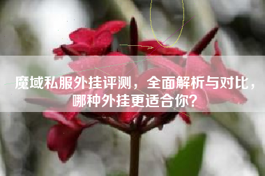 魔域私服外挂评测，全面解析与对比，哪种外挂更适合你？