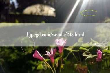 bjpegd.com/wenda/245.html 第1张 bjpegd.com/wenda/245.html 第1张