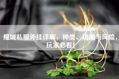 魔域私服外挂详解，种类、功能与风险，玩家必看！