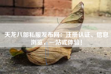 天龙八部私服发布网：注册认证、信息浏览，一站式体验！