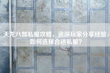 天龙八部私服攻略，资深玩家分享经验，如何选择合适私？