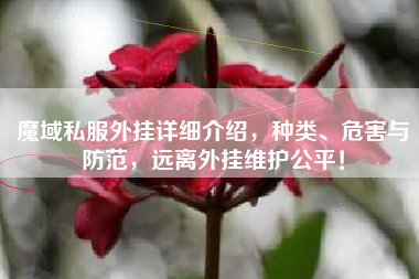 魔域私服外挂详细介绍，种类、危害与防范，远离外挂维护公平！