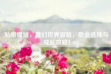 私服魔域，魔幻世界冒险，职业选择与成长攻略！