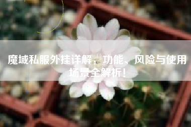 魔域私服外挂详解，功能、风险与使用场景全解析！