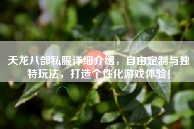 天龙八部私服详细介绍，自由定制与独特玩法，打造个性化游戏体验！